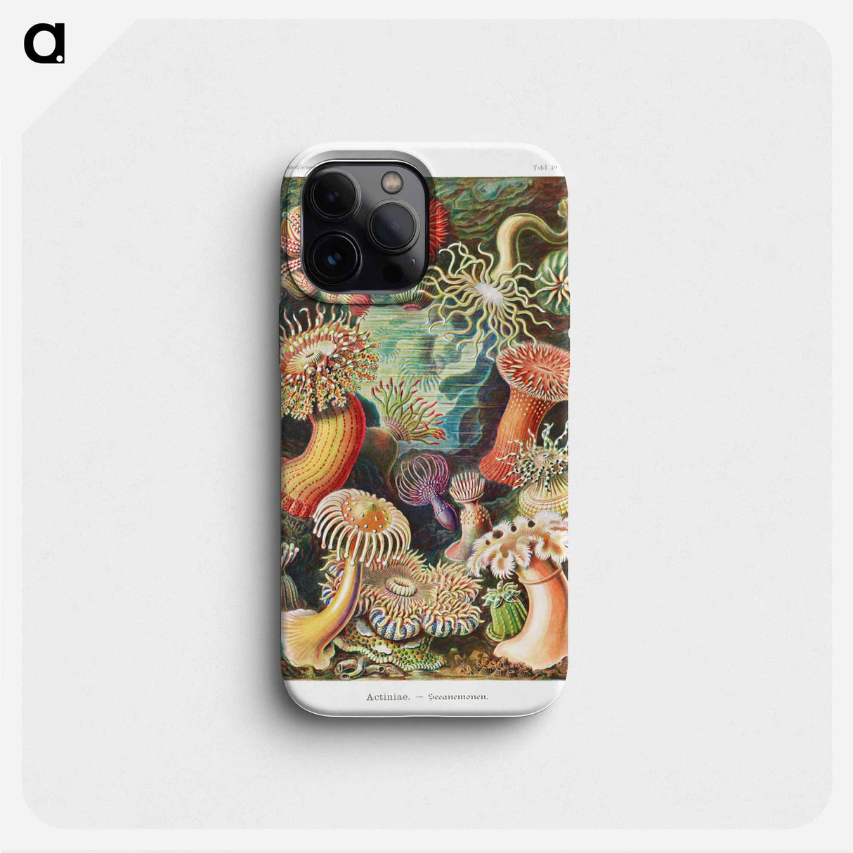 Actiniae–Seeanemonen - エルンスト ヘッケル Phone Case.