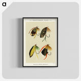 1-7_Favorite-Flies-and-Their-History_blk-crop