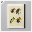 1-7_Favorite-Flies-and-Their-History_canvas