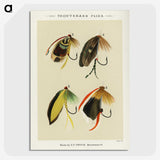 1-7_Favorite-Flies-and-Their-History_picture-crop