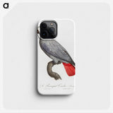 1-7_Francois-Levaillant_phone