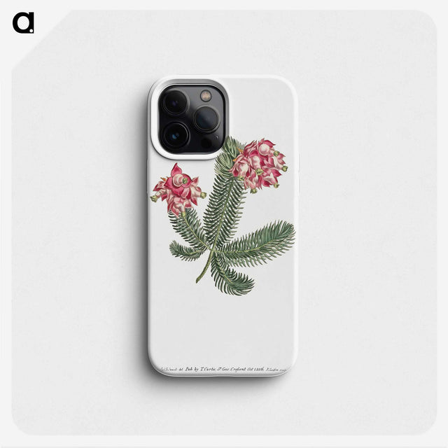 1-7_Fransis-Sansom_phone