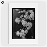 1-7_Frederick-Charles-Brockett_picture