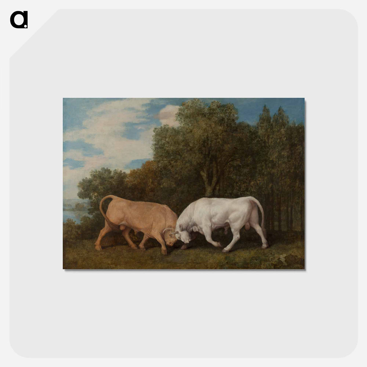 アートポストカード-Bulls Fighting
 - ジョージ スタッブス Postcard.