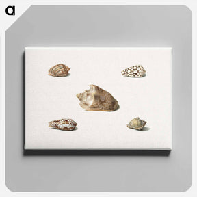 アートパネル-Five Shells
 - ジョージアス ヤコブス ヨハネス ファン オス Canvas.