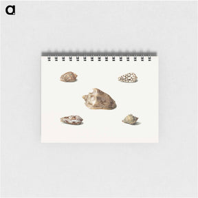 アートメモ帳-Five Shells
 - ジョージアス ヤコブス ヨハネス ファン オス Memo.
