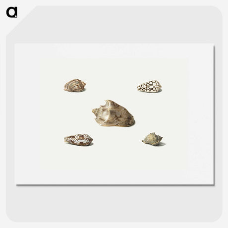 1-7_Georgius-Jacobus-Johannes-van-Os_picture