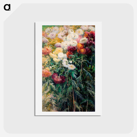 アートポストカード-Chrysanthemums in the Garden at Petit–Gennevilliers - ギュスターヴ カイユボット Postcard.