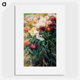 Chrysanthemums in the Garden at Petit–Gennevilliers - ギュスターヴ カイユボット Poster.