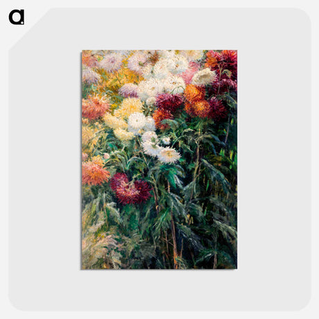 アートポストカード-Chrysanthemums in the Garden at Petit–Gennevilliers - ギュスターヴ カイユボット Postcard.