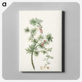 1-7_Herman-Henstenburgh_canvas