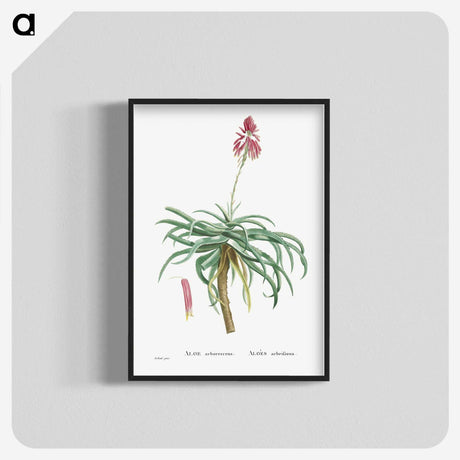 1-7_Histoire-des-Plantes-Grasses_blk-crop