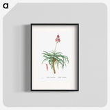 1-7_Histoire-des-Plantes-Grasses_blk