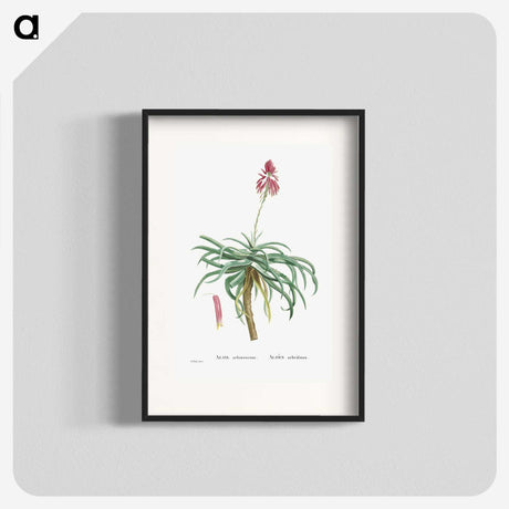 1-7_Histoire-des-Plantes-Grasses_blk