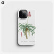 1-7_Histoire-des-Plantes-Grasses_phone