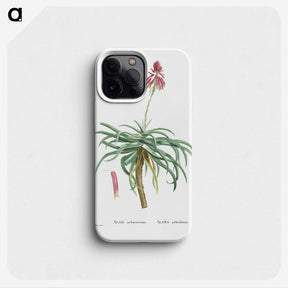 1-7_Histoire-des-Plantes-Grasses_phone