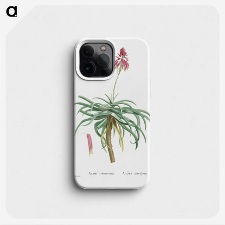1-7_Histoire-des-Plantes-Grasses_phone