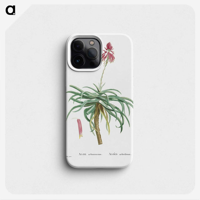1-7_Histoire-des-Plantes-Grasses_phone