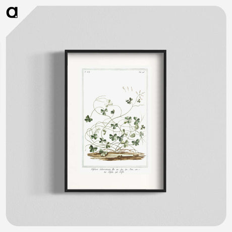 1-7_Hortus-Romanus-Botanical-Plates_blk