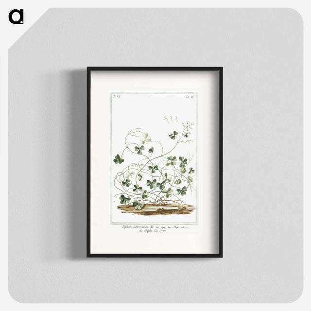 1-7_Hortus-Romanus-Botanical-Plates_blk