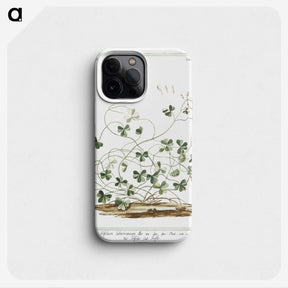 1-7_Hortus-Romanus-Botanical-Plates_phone
