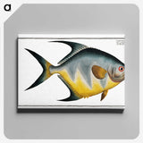 1-7_Ichtyologie-ou-Histoire-naturelle_canvas