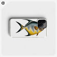1-7_Ichtyologie-ou-Histoire-naturelle_phone