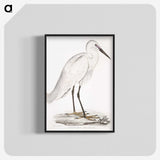 1-7_Indian-Zoology_blk-crop