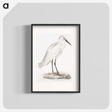 1-7_Indian-Zoology_blk