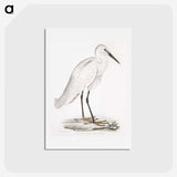 1-7_Indian-Zoology_hagaki