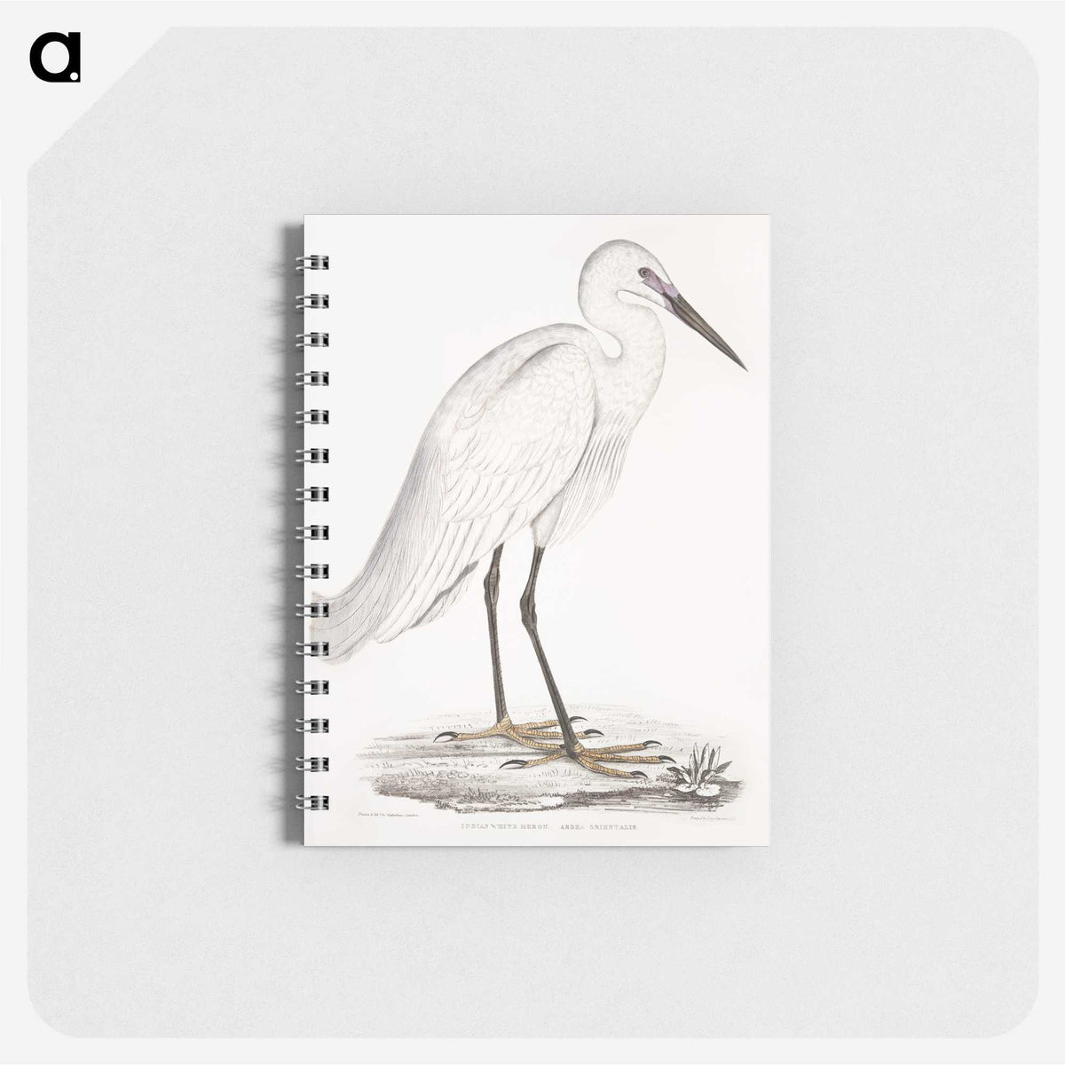 1-7_Indian-Zoology_memo