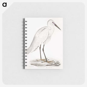 1-7_Indian-Zoology_memo