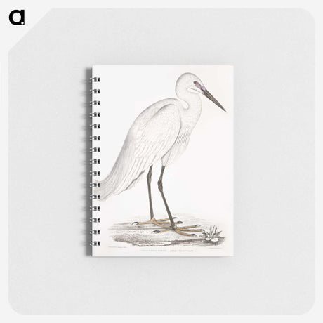 1-7_Indian-Zoology_memo