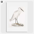 1-7_Indian-Zoology_picture