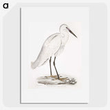 1-7_Indian-Zoology_picture