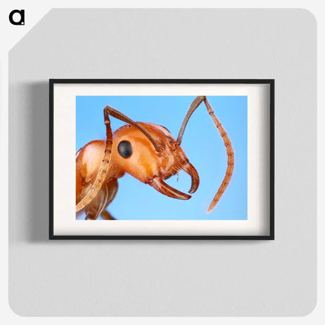 1-7_Insects-Unlocked-Project_blk