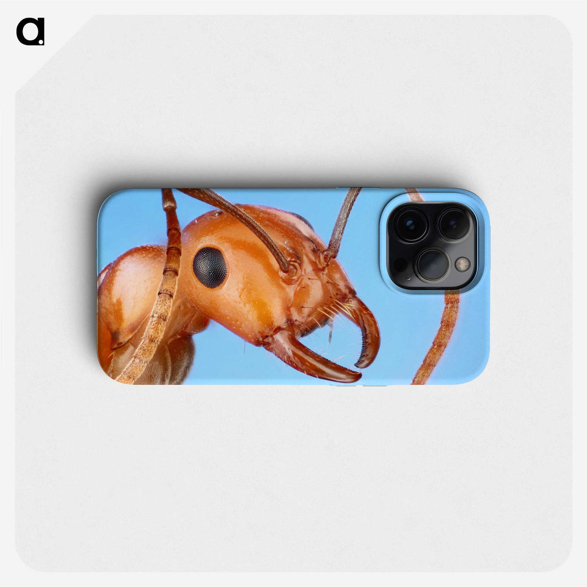 1-7_Insects-Unlocked-Project_phone