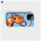 1-7_Insects-Unlocked-Project_phone