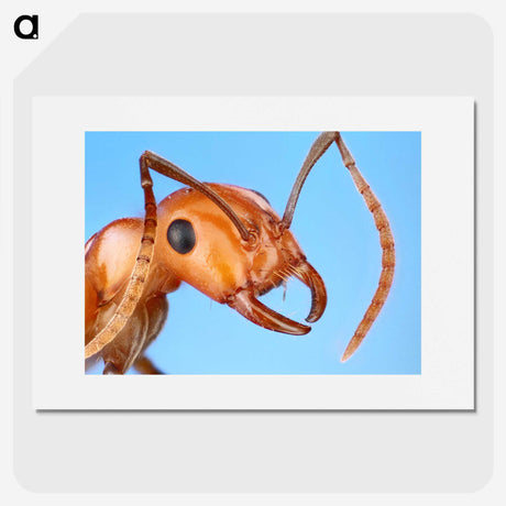 1-7_Insects-Unlocked-Project_picture