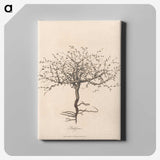 1-7_James-Heath_canvas