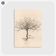 1-7_James-Heath_postcard