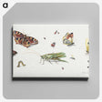 1-7_Jan-Van-Kessel_canvas