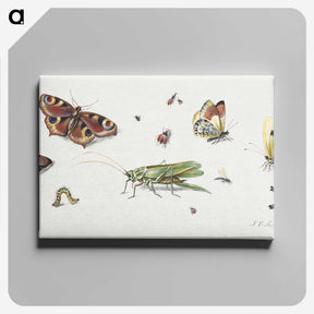1-7_Jan-Van-Kessel_canvas