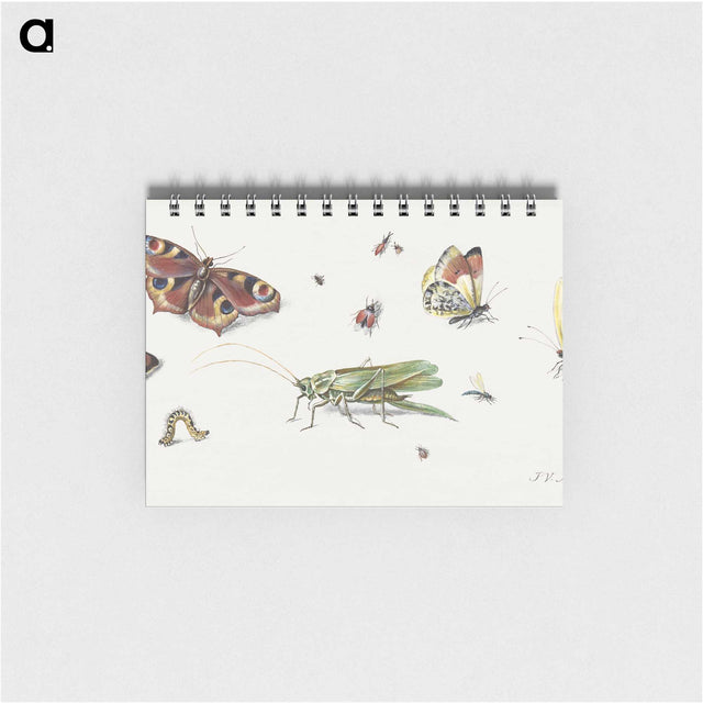 1-7_Jan-Van-Kessel_memo
