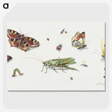 1-7_Jan-Van-Kessel_picture-crop