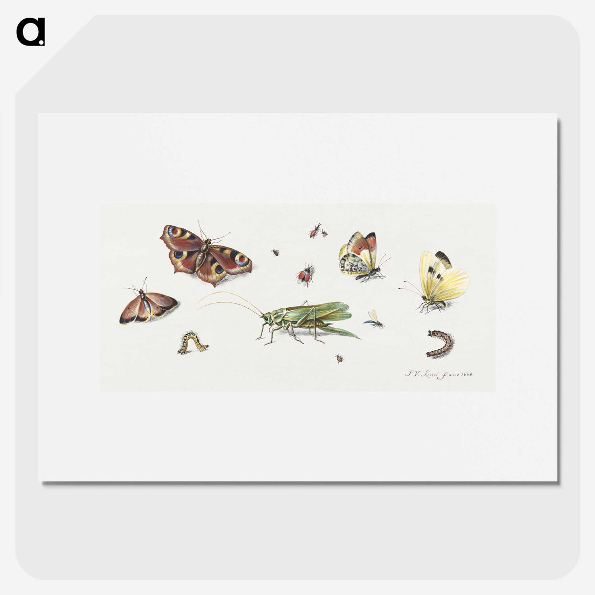 1-7_Jan-Van-Kessel_picture