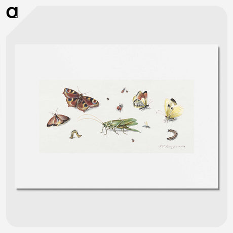 1-7_Jan-Van-Kessel_picture