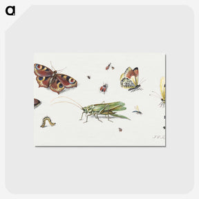 1-7_Jan-Van-Kessel_postcard