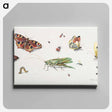 アートパネル-Insects, Butterflies, and a Grasshopper
 - ヤン ファン ケッセル Canvas.