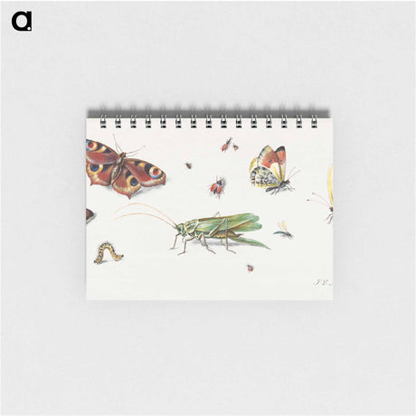 アートメモ帳-Insects, Butterflies, and a Grasshopper
 - ヤン ファン ケッセル Memo.